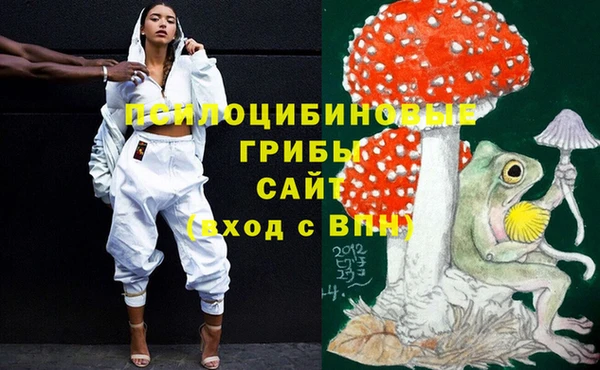 таблы Горнозаводск