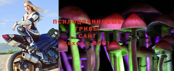 PSILOCYBIN Горняк