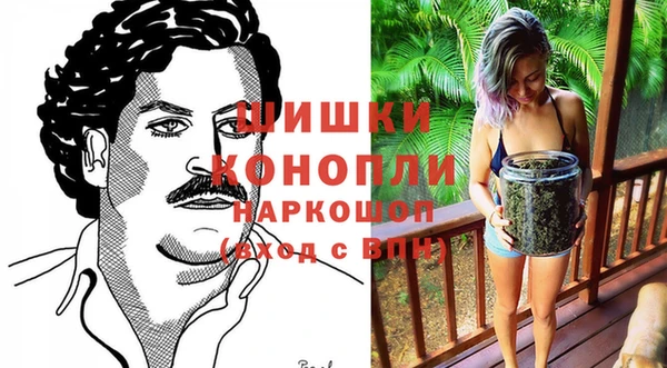 МДПВ Горно-Алтайск