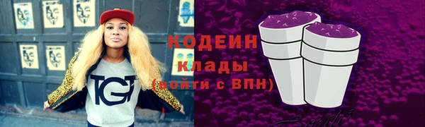 PSILOCYBIN Горняк
