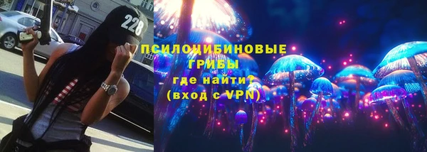 МДПВ Горно-Алтайск