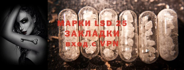 PSILOCYBIN Горняк