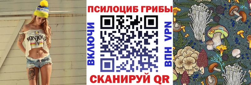 Псилоцибиновые грибы Cubensis  Ставрополь 