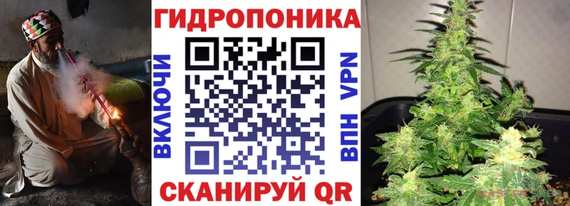 Канабис план  Ставрополь 